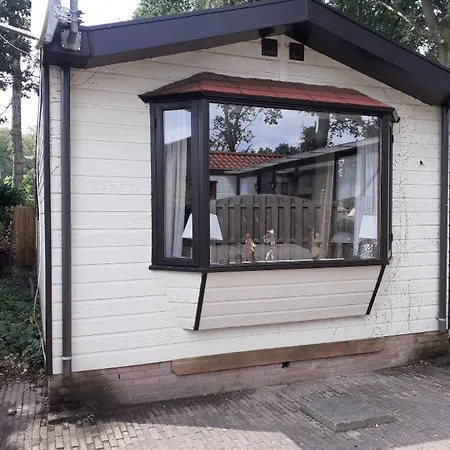 Chalet Chalet Nr 73 Bungalowpark De Kern 